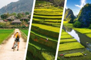 Cycling through Mai Chau rice fields, terraced landscapes in Pu Luong, and the limestone riverscapes of Ninh Binh shown together for a Northwest Loop tour.