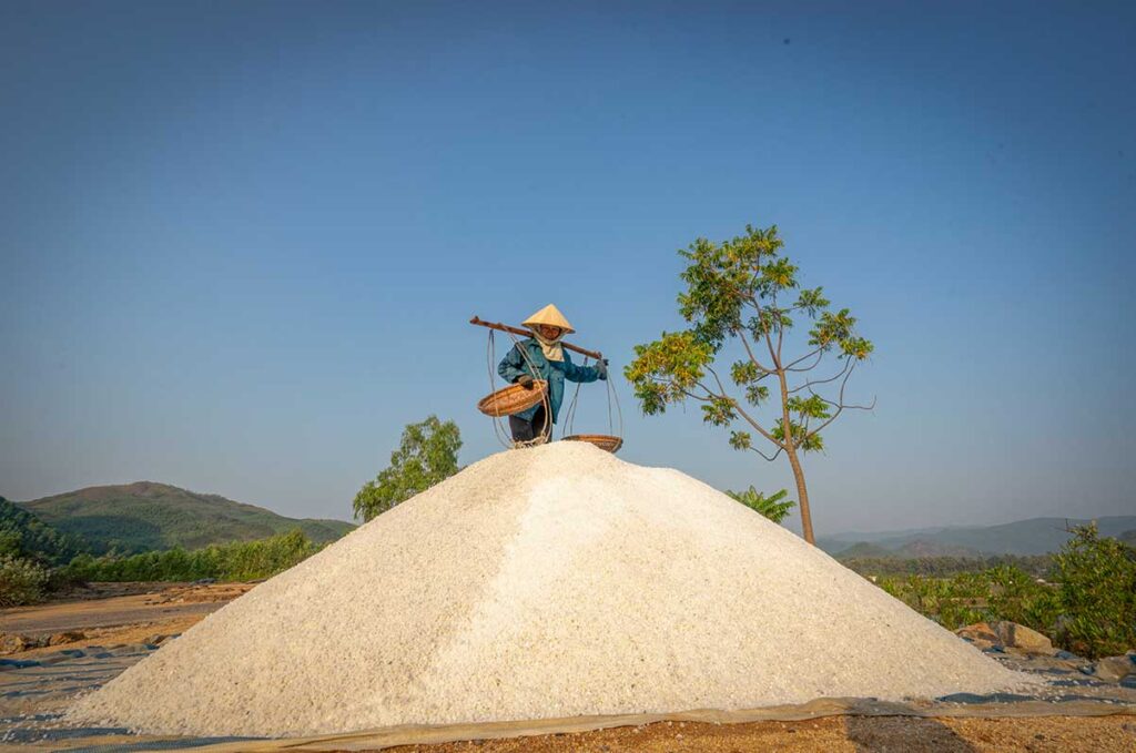Worker carrying baskets of sea salt atop a large white mound at O Loan Lagoon salt fields in Phu Yen.