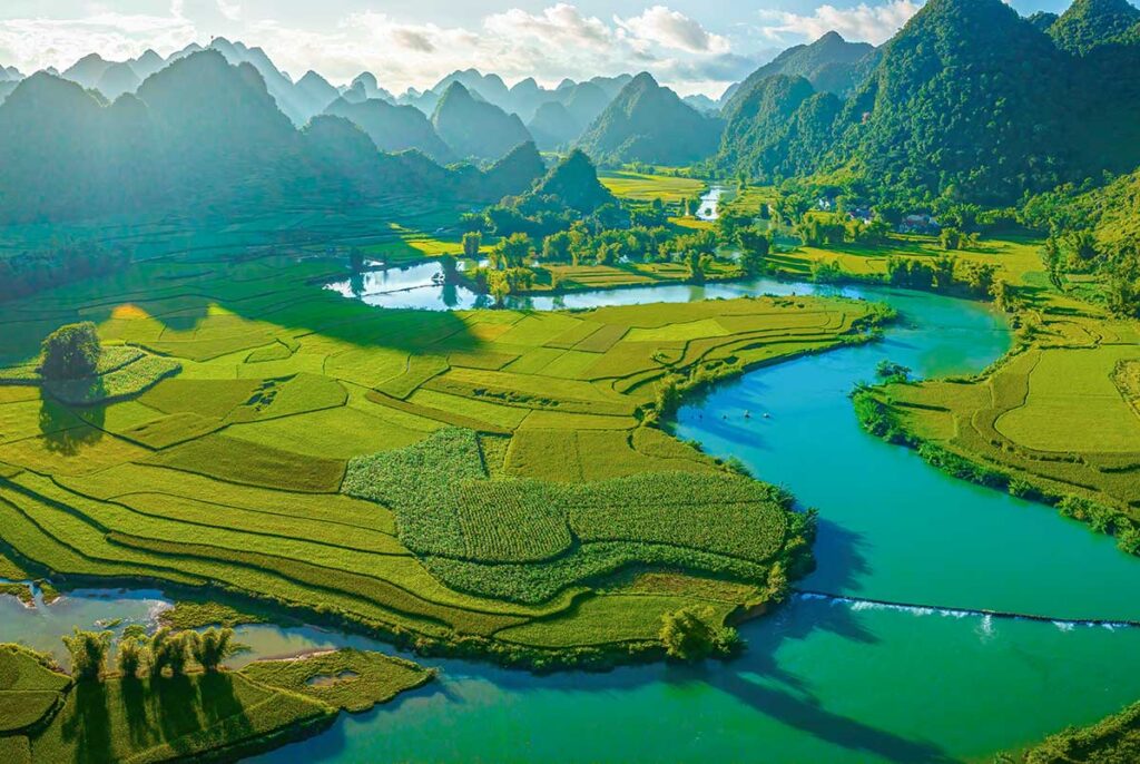 Phong Nam Valley in Summer – Lush green rice fields cover the valley in Phong Nam Valley in summer, with towering karst mountains providing a dramatic backdrop.