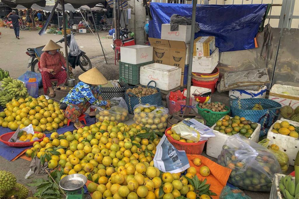 Fruit being sold at the local Vinh Kim Fruit Market