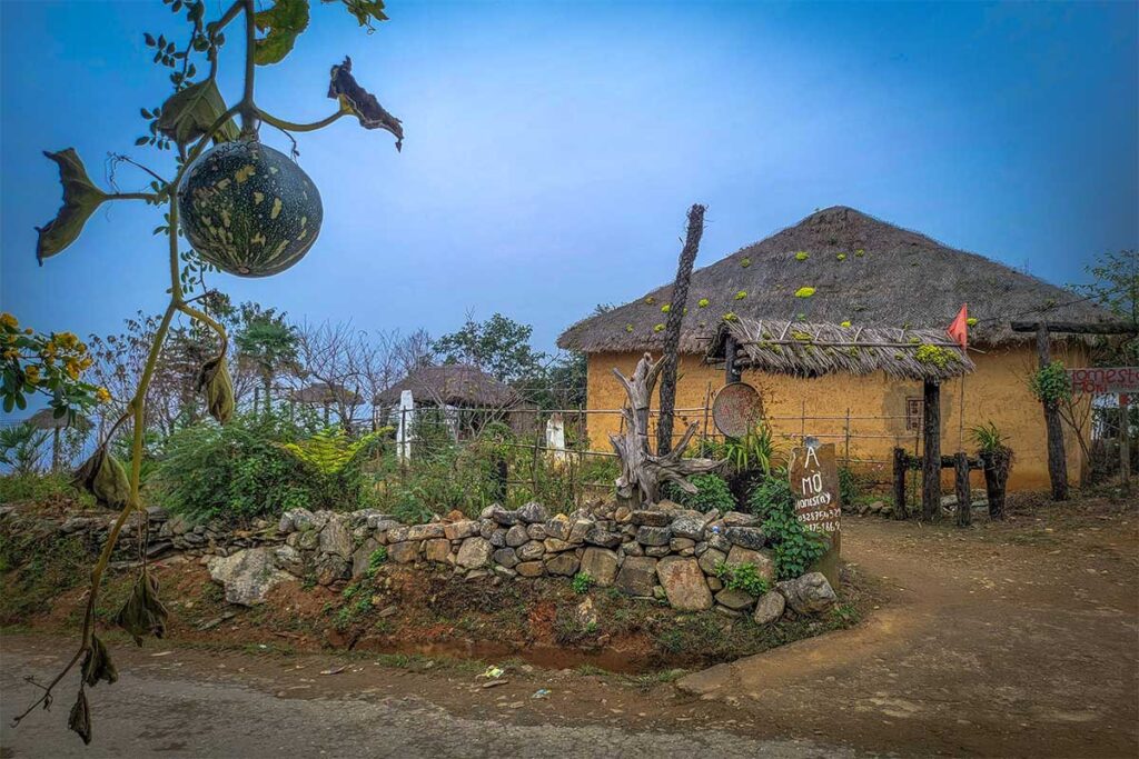 Y Ty homestay
