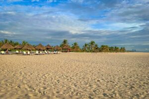 Empty stretch of golden sand at Binh Minh Beach, Vietnam, with sun loungers and palm trees creating a relaxed tropical setting.
