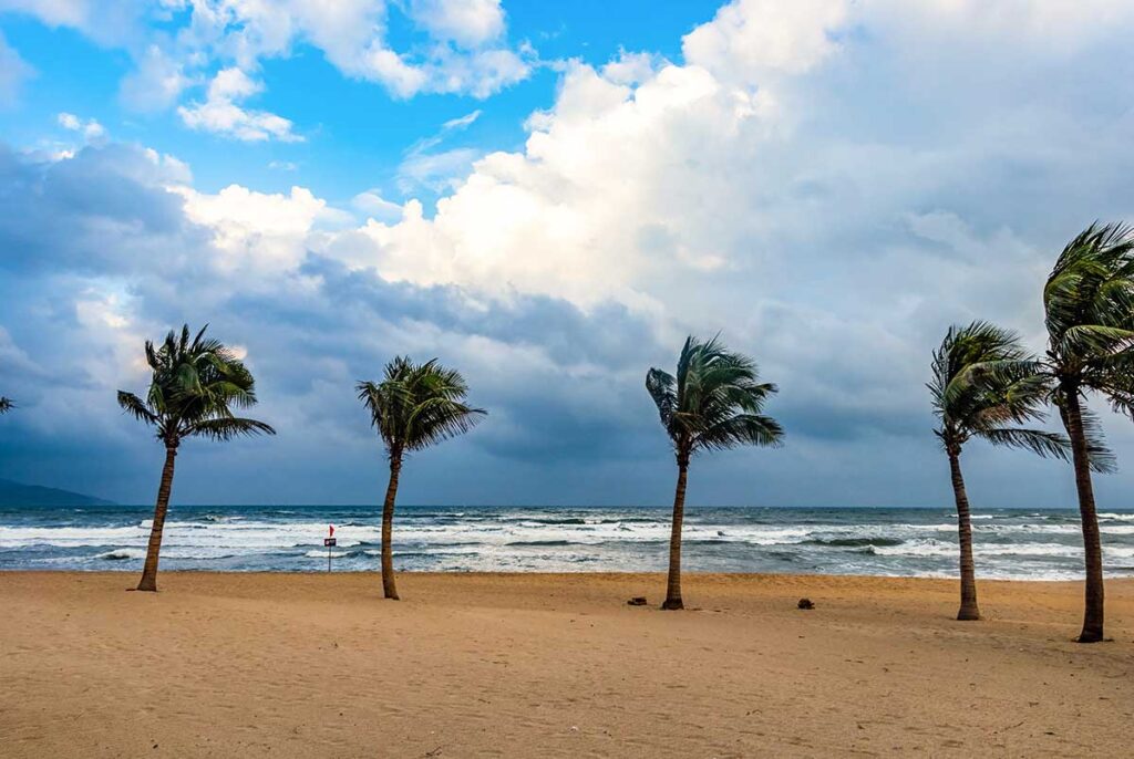 Da Nang beach in autumn – A windy beach scene, with palm trees bending in the strong breeze and dark clouds signaling the changing season.