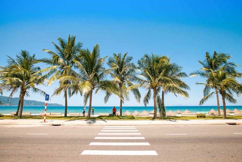 Da Nang beach in summer – A tropical beach scene with palm trees and a clear blue sky, showcasing the perfect weather for sunbathing and swimming.