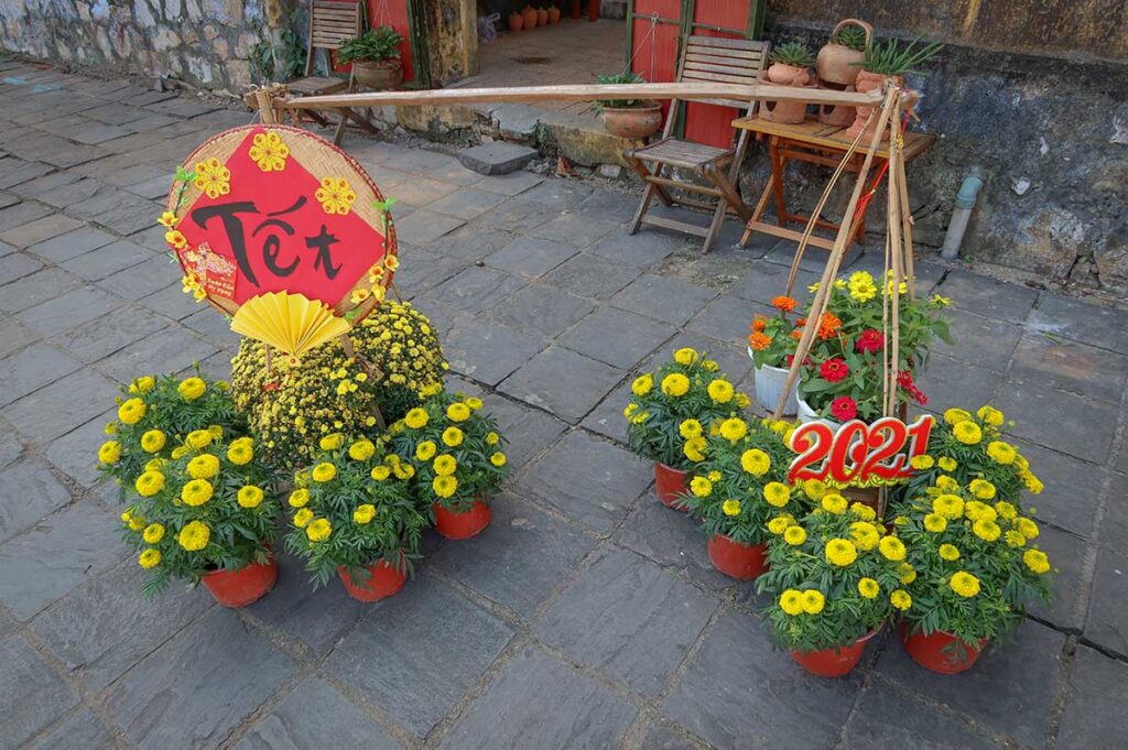 Decorative Tet display in Hoi An with yellow chrysanthemums, red banners, and the word “Tết,” symbolizing renewal and happiness for the Lunar New Year.