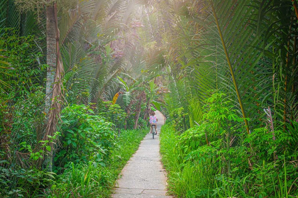 Traveler cycling along a lush green canal path surrounded by tropical vegetation after rainfall, showing cycling in the Mekong Delta during rainy season.