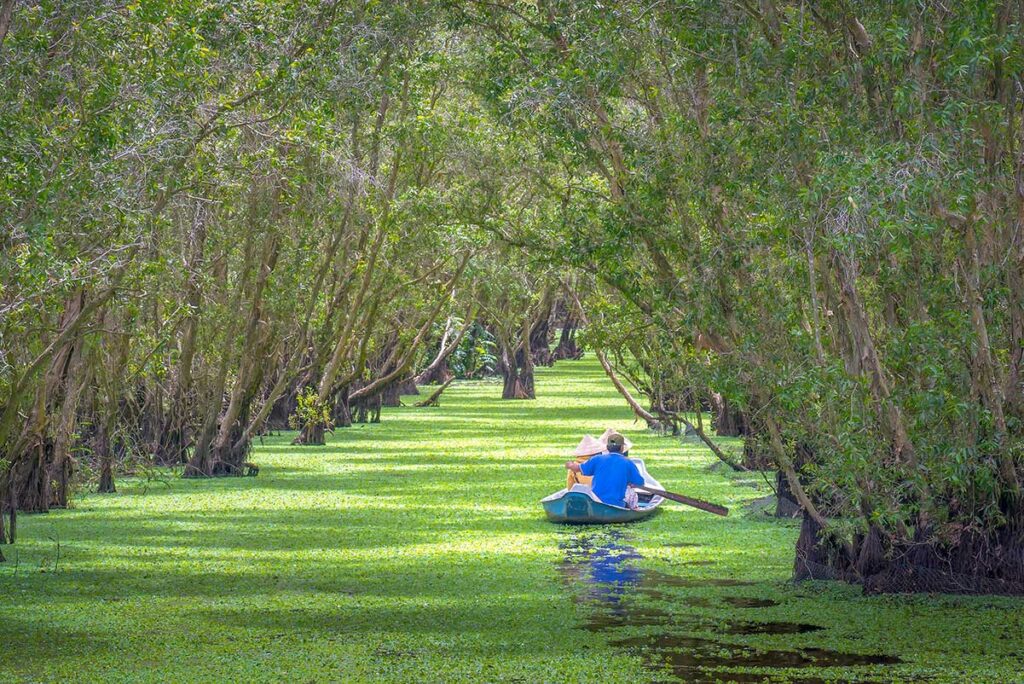 Visitors rowing through flooded cajuput forest covered in green water plants at Tra Su, representing the floating season in the Mekong Delta.