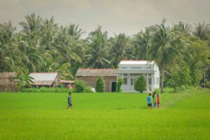 Green rice fields and a palm-lined hamlet with children playing, illustrating warm days at the start of the rainy season in the Mekong Delta in May.