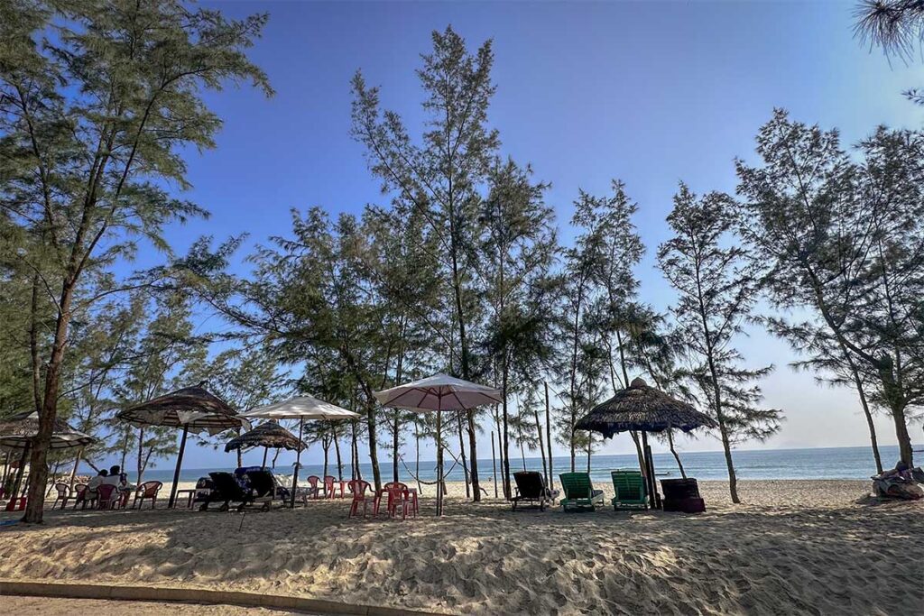 Quiet stretch of Cua Dai Beach Hoi An with sun loungers and parasols under pine trees, offering a peaceful seaside setting.