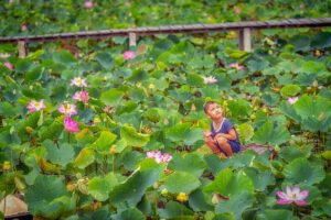 Young boy sitting among blooming lotus flowers in a Dong Thap lotus field