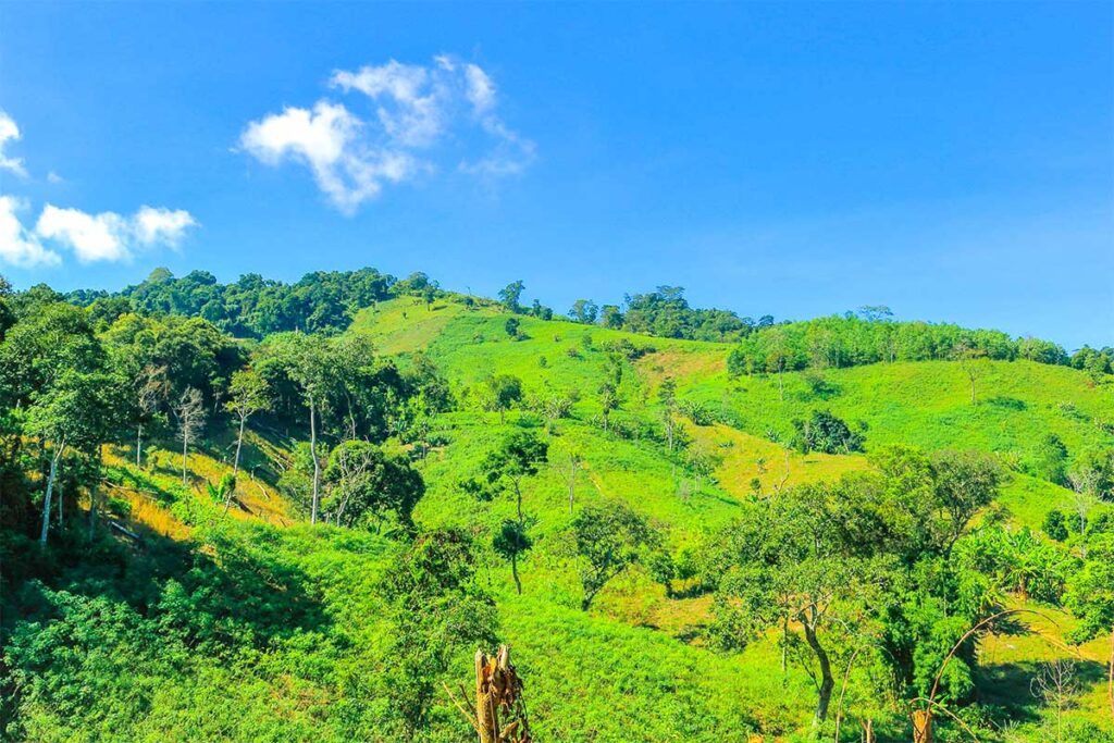 A Bia Mountain (Hamburger Hill)