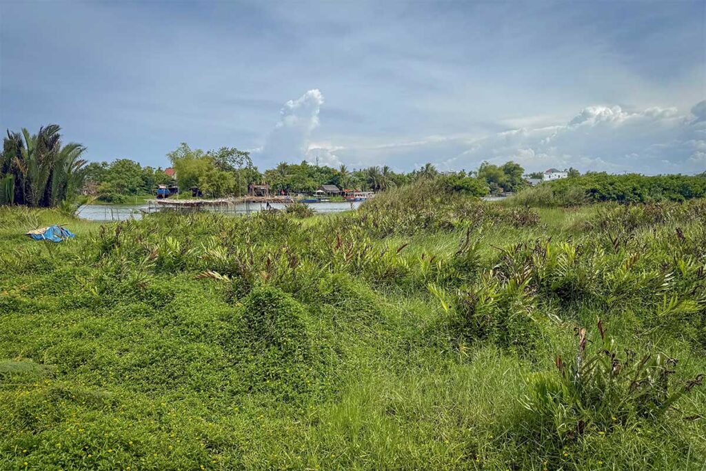 Rural area on Cam Kim Island - A landscape of countryside near Hoi An