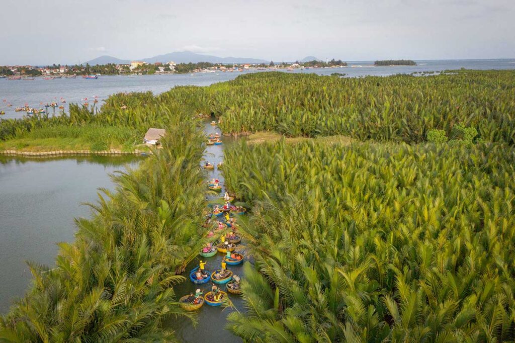 Aerial view of round basket boats paddling through the coconut palm forest in Cam Thanh – a must-see experience in the countryside of Hoi An.