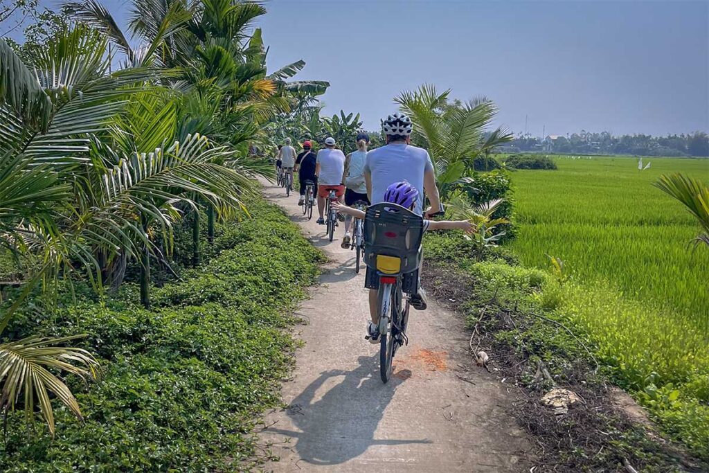 Cycling group exploring palm-lined paths and rice paddies – family-friendly way to discover the Hoi An countryside.