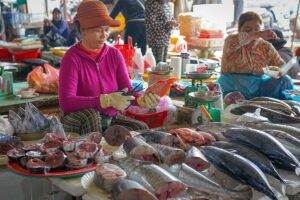 Seafood seller cutting fish at Hoi An market – A woman in pink prepares freshly caught tuna and snapper, with large fillets and whole fish displayed on ice for buyers.