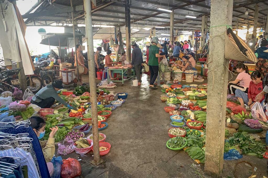 Vendors selling fresh herbs and vegetables at the Thanh Ha Market – Women arrange baskets of chili, limes, and greens on the ground inside the open-air section of the central market.