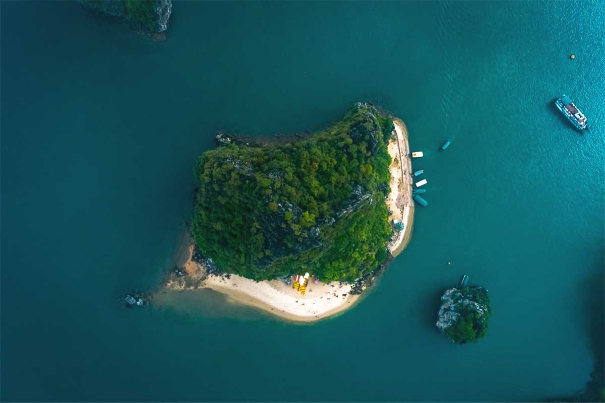 Renea Cruise in Bai Tu Long Bay