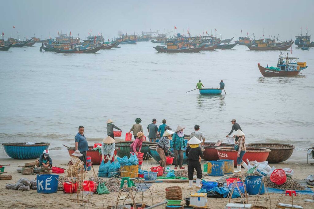 Fishermen unloading seafood from round basket boats onto Tam Tien Beach.
