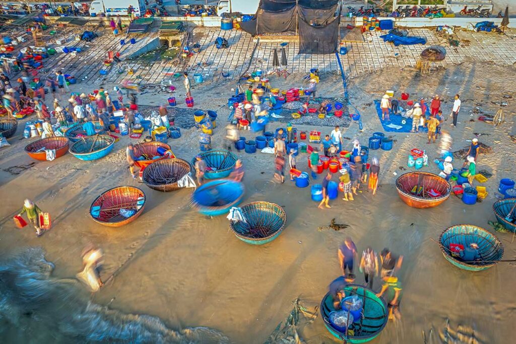 Bustling morning scene at Tam Tien Fish Market with vendors sorting seafood in round basket boats.