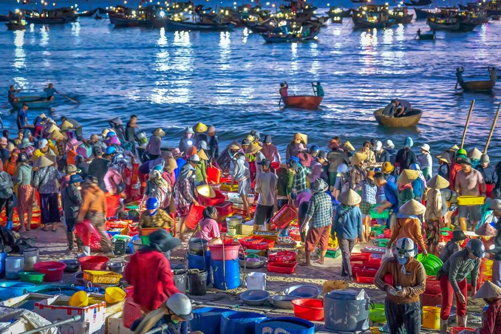 Early morning buzz at Tam Tien Fish Market, with fishermen unloading the night’s catch onto the sandy beach of Quang Nam.