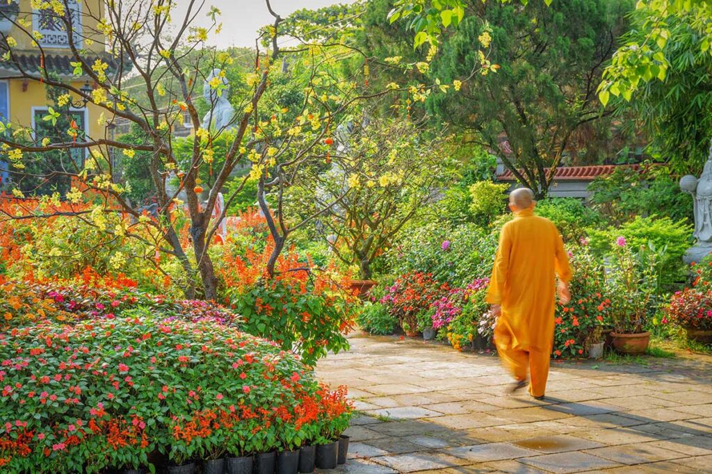 Buddhist monk walking through a flower-filled courtyard in the early morning light, reflecting the calm daily life and garden beauty found around temples in Hoi An.