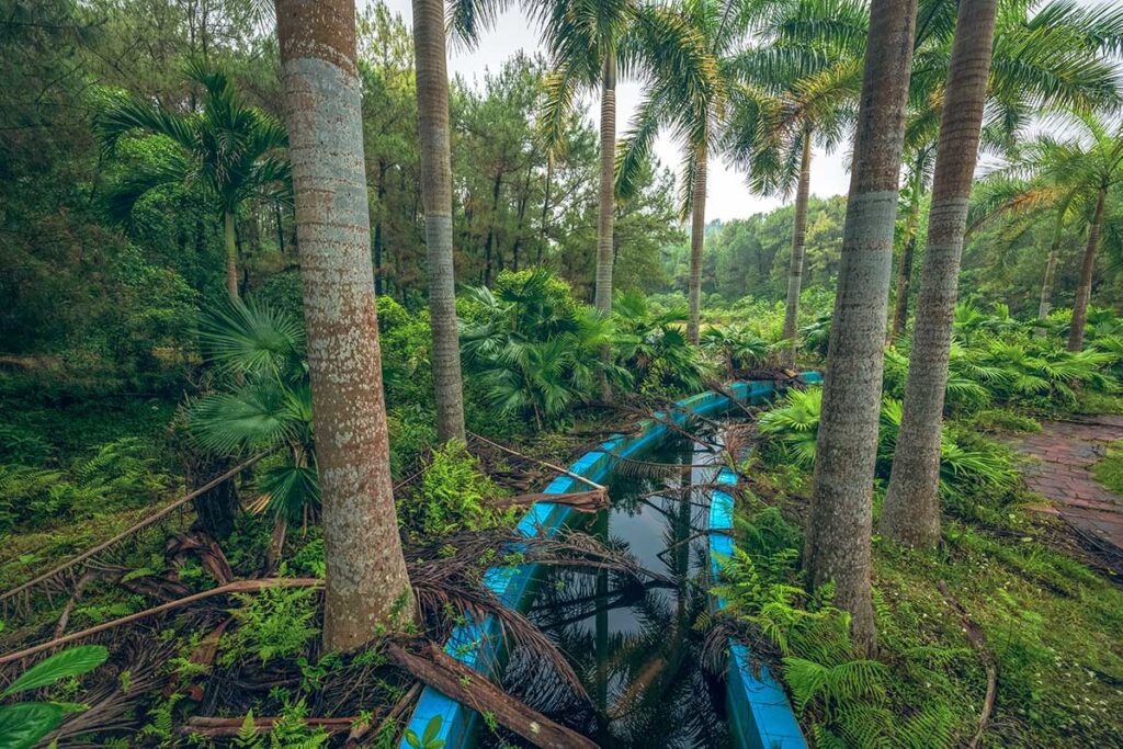 An dirty overgrown pool in Thuy Tien Water Park, now completely abandoned