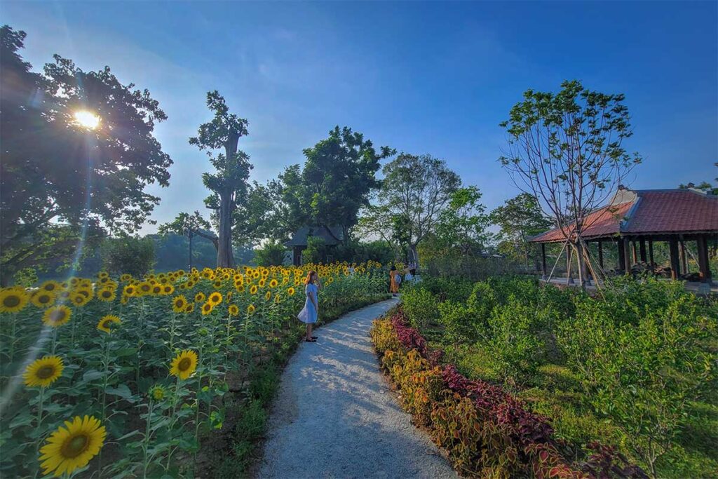Flower garden at the island in Tinh Tam Lake