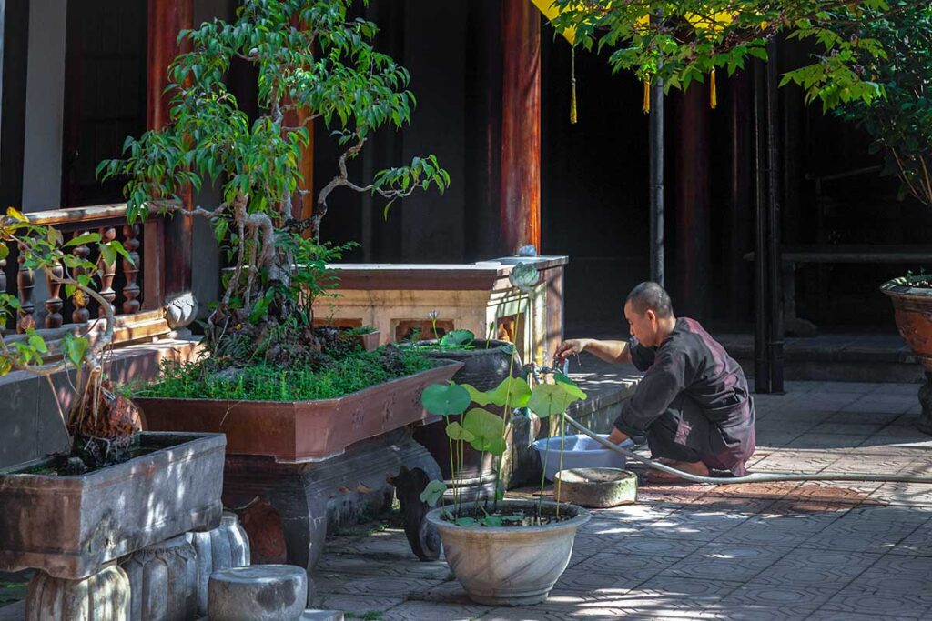 A monk is busy in the garden of Tu Hieu Pagoda