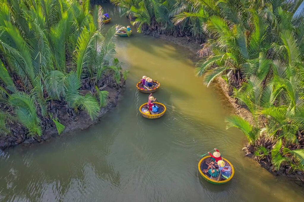 Aerial view of basket boats gliding through the green coconut mangroves of Cam Thanh Coconut Village.