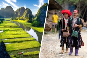 Karst landscapes and rice fields of Ninh Binh combined with Red Dao ethnic culture in Sapa on a Ninh Binh–Sapa combo tour.