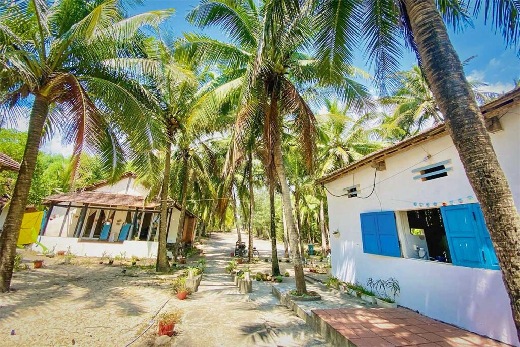 Two buildings on the beach and underneath the palm trees part of Tam Thanh Natural Beach Retreat