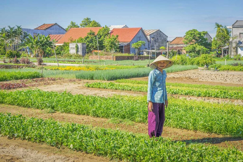 Farmer tending to organic herbs and vegetables at Tra Que Village, one of the best-known eco villages around Hoi An.