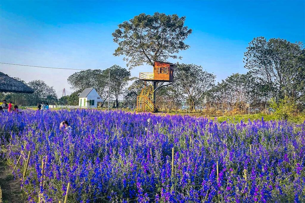 A flower garden and coffee shop at Bai Da Song Hong Hanoi