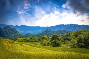 Golden harvest rice fields is the best time to visit Pu Luong