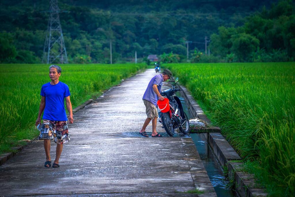 For trekking in Mai Chau best to used these concrete paths connecting villages through rice fields and used by motorbikes
