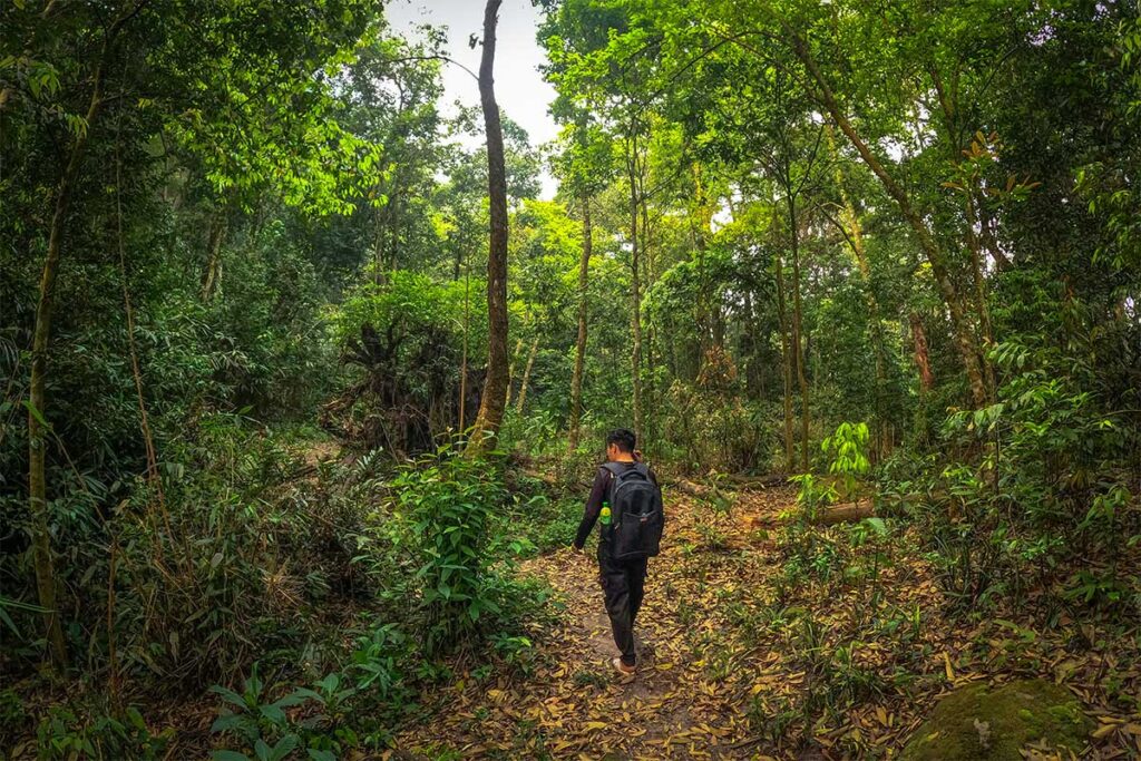 A man trekking through dense forest on a trail leading to Pha Luong Peak
