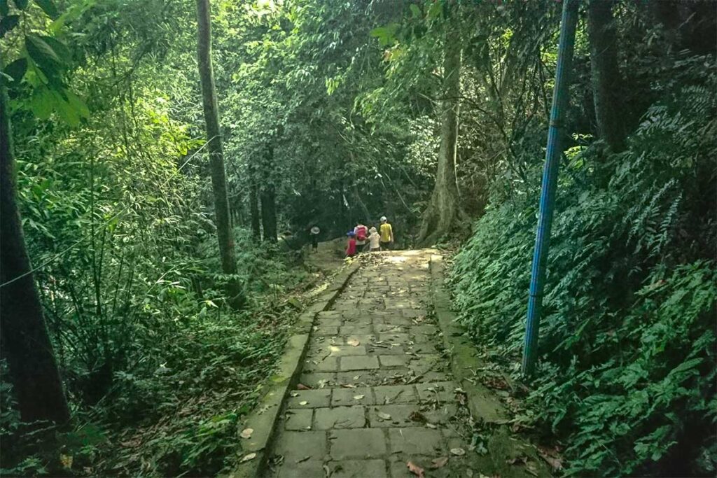 The path leading through the forest up to Tay Tien Pagoda