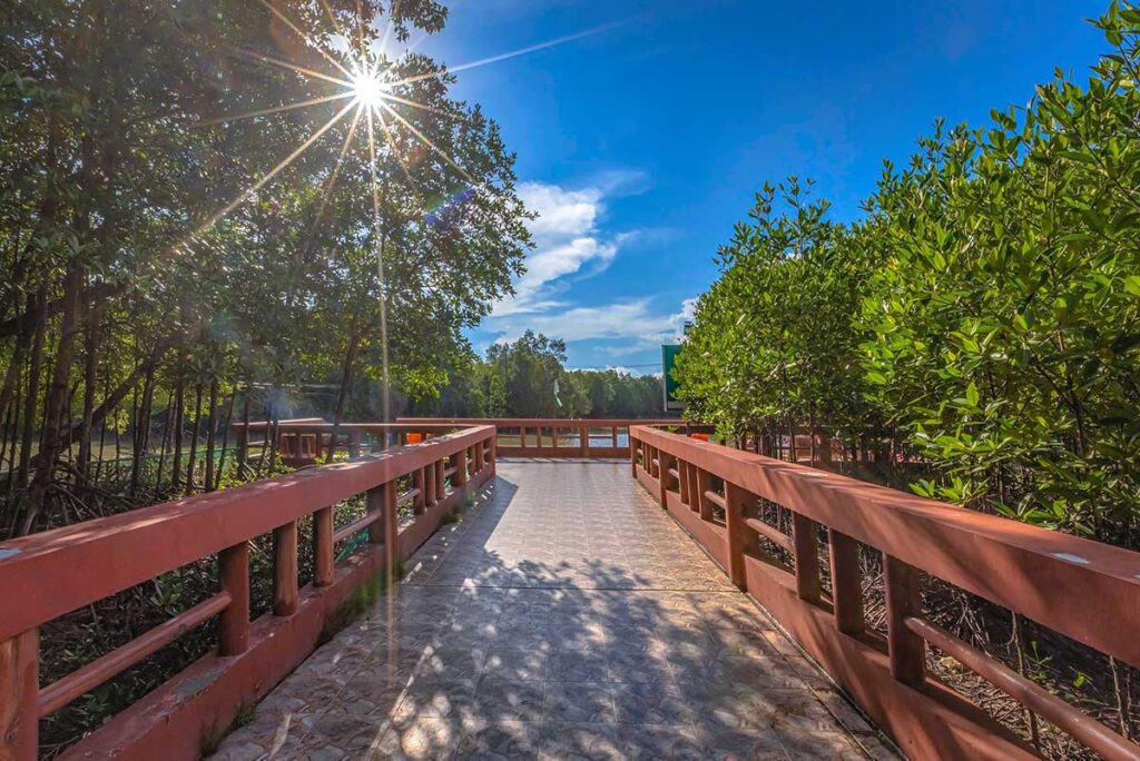 A concrete path that leads through the forest and mangrove of Cape Ca Mau National Park