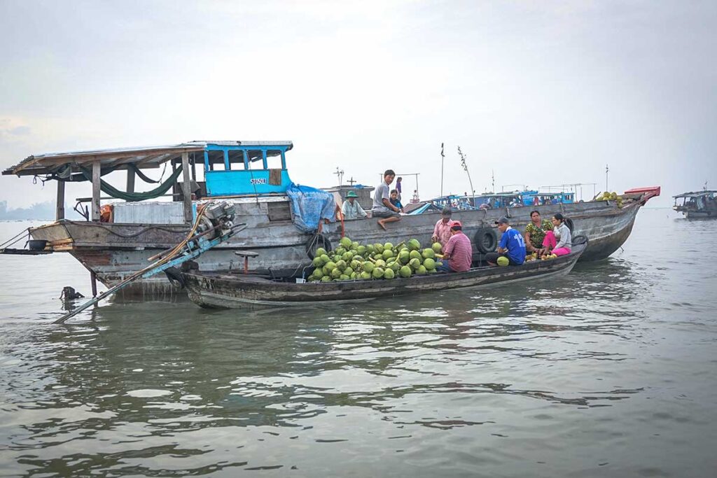 Family selling coconuts from a sampan at Long Xuyen Floating Market, Vietnam