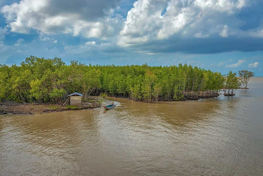 A small local fishing boat getting out of a small canal full of mangrove on the main river that runs through Cape Ca Mau