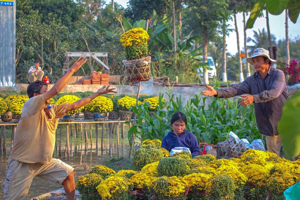 Farmers passing potted chrysanthemums by hand at Sa Dec Flower Village during Tet preparations in Dong Thap