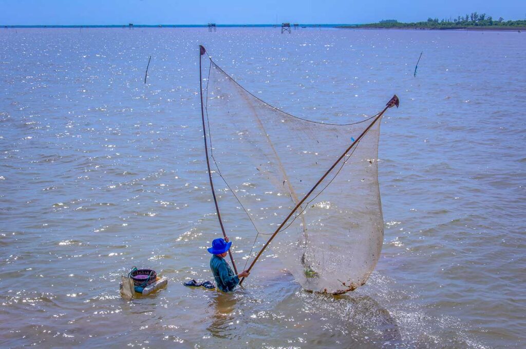 Local fisherman casting a traditional net in the alluvial waters of Tan Thanh Beach Tien Giang, Mekong Delta.