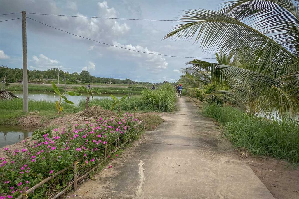 Narrow concrete path lined with pink flowers and rice fields on Con Chim Island, Tra Vinh, ideal for cycling through the Mekong Delta countryside