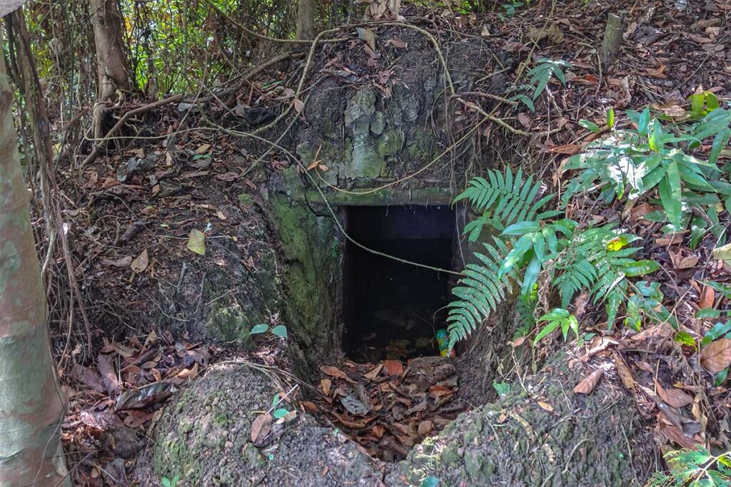 Vietnam War tunnel entrance in Xeo Quyt Forest – Small camouflaged wartime hideout among trees and roots.