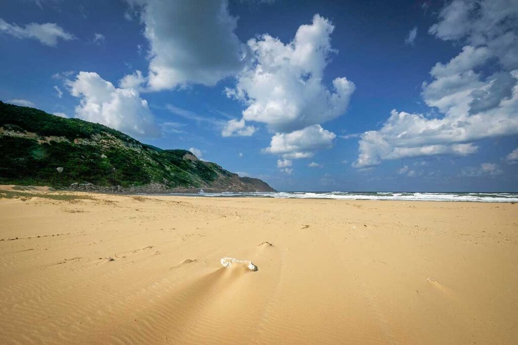 Wide sandy stretch of Bai Mon Beach in Phu Yen under the sun, with no shade and strong waves in the distance.
