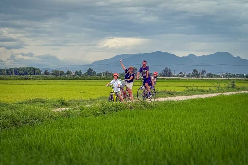 Family cycling through lush rice fields near Hoi An countryside, Vietnam