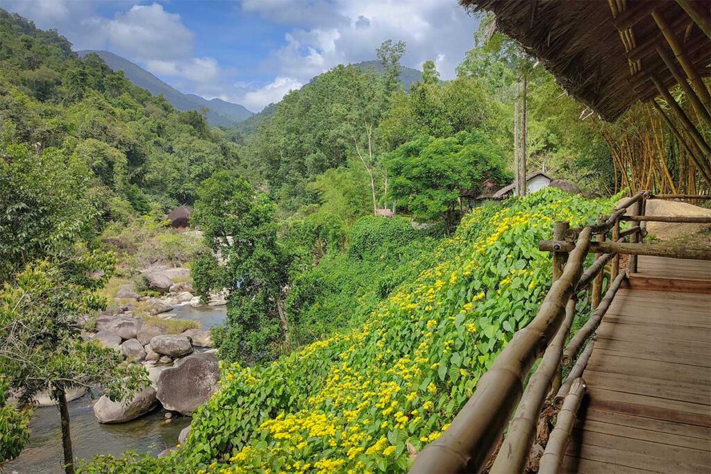 Riverside view with bamboo huts and yellow wildflowers in the green valley of Hon Ba Nature Reserve.