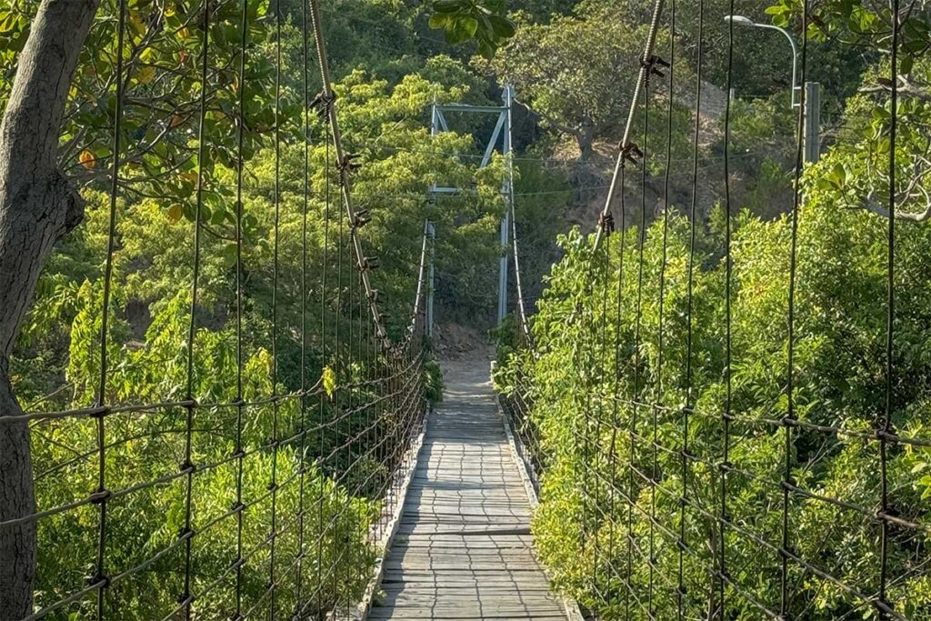 Suspension bridge over Lo O Stream in Nui Chua National Park – Narrow wooden bridge strung with cables, surrounded by lush green forest, offering access to walking trails near Vinh Hy Bay.