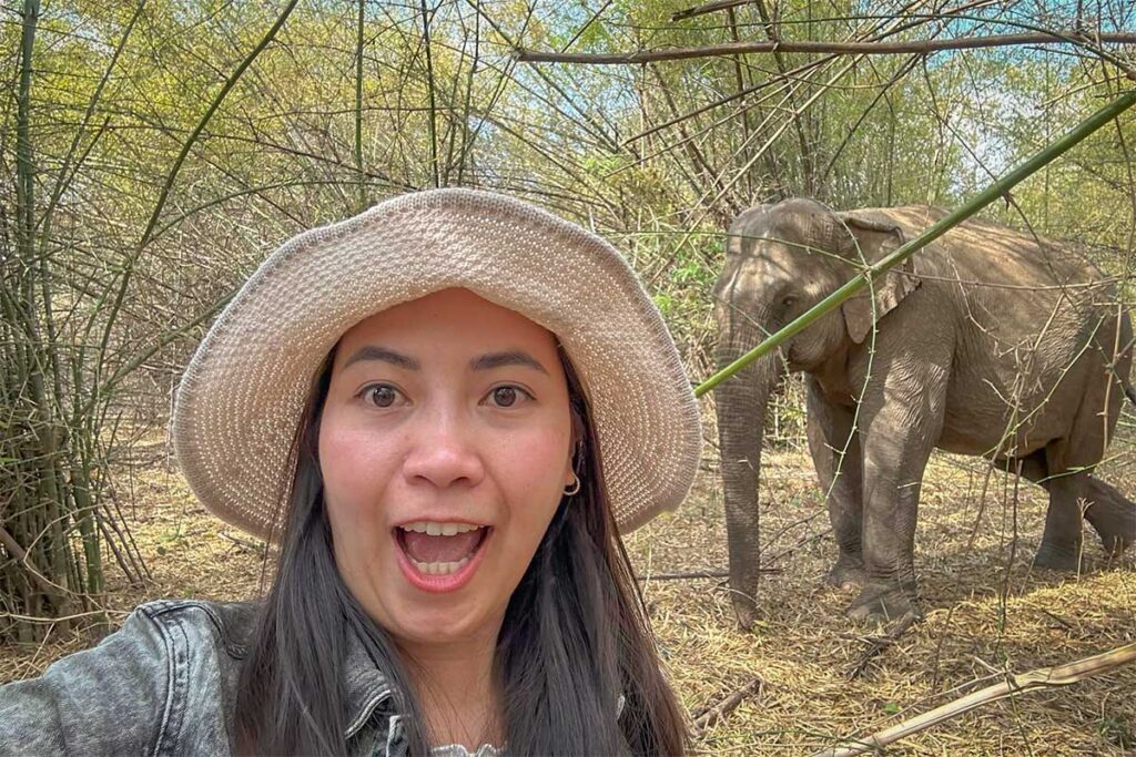 Nhung from Local Vietnam visiting an ethical elephant project in Vietnam — reflecting the company’s commitment to responsible tourism and firsthand experience with local conservation initiatives.