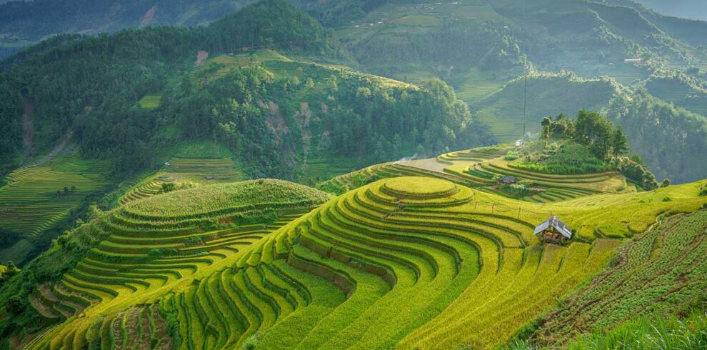 Mu Cang Chai Vietnam – Local Vietnam tours | aerial view of lush green rice terraces surrounded by mountains in Yen Bai Province